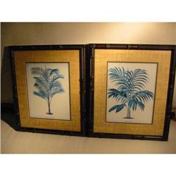 Hawaiian Prints "Calamus Asperrimus" Ferns! #2328473