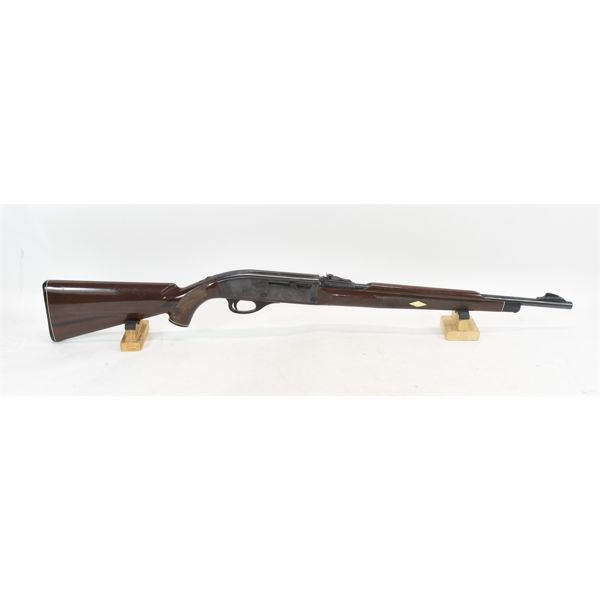Remington Nylon 66 Rifle