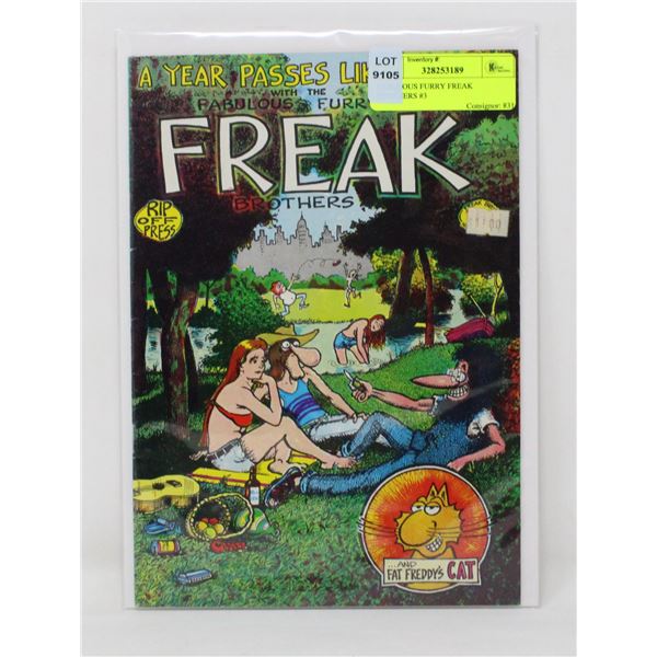 FABULOUS FURRY FREAK BROTHERS #3