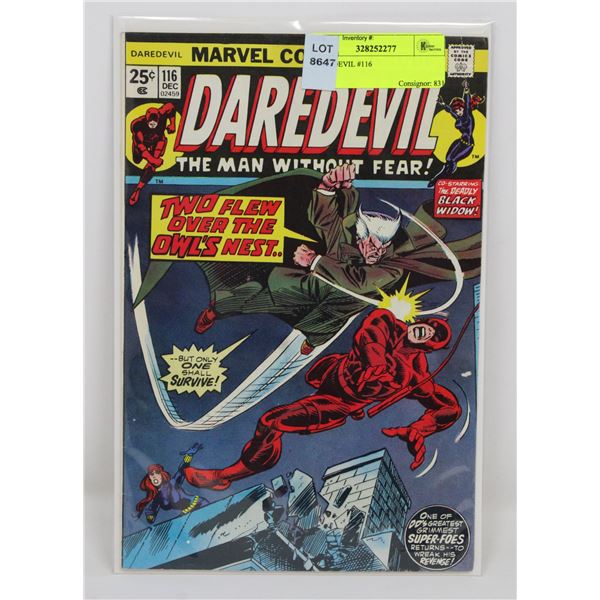 DAREDEVIL #116