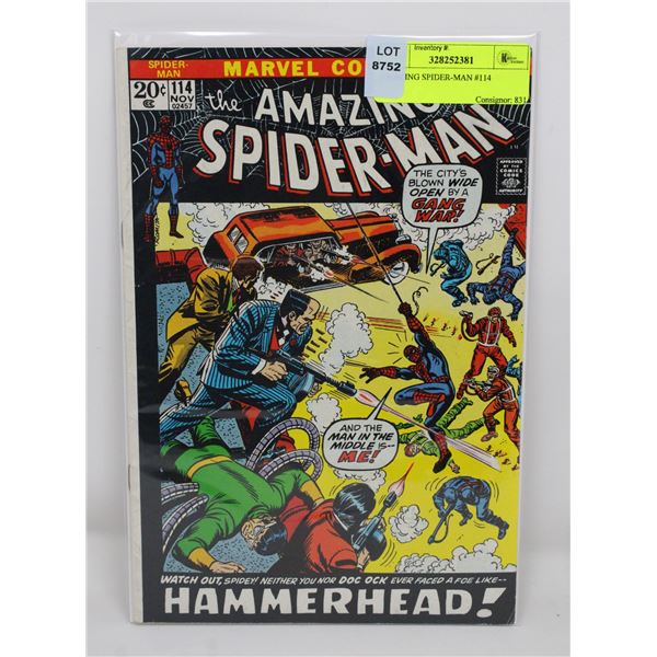 AMAZING SPIDER-MAN #114