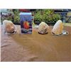 Image 1 : Himalayan Salt Rock Lamps x4