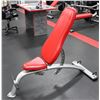 Image 1 : CYBEX ADJUSTABLE BENCH