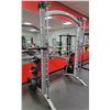 Image 2 : MATRIX SMITH MACHINE COMES WITH FREE WEIGHTS