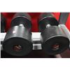 Image 1 : PAIR OF 100LB SNAP FITNESS DUMBBELLS