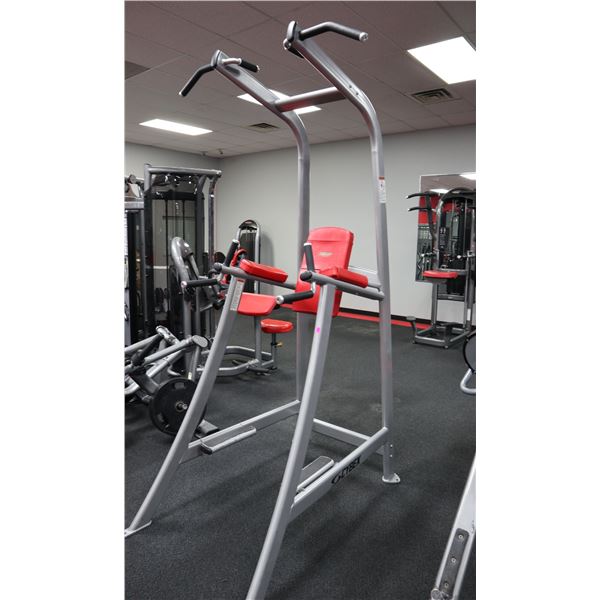 CYBEX VERTICAL KNEE RAISE