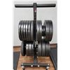 Image 1 : ROGUE ROLLING FREE WEIGHT STAND WITH FREE WEIGHTS
