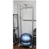 Image 1 : 2 EXERCISE BASU BALLS WITH ROLLING STORAGE RACK