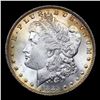 Image 2 : 1885-o Morgan Dollar $1 Grades Choice+ Unc