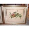 Image 1 : Pair of Old Fruit Prints Framed #2325923