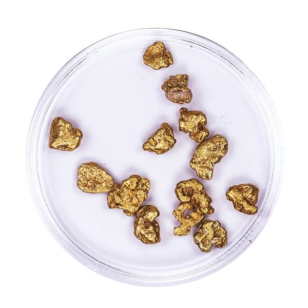Lot of Gold Nuggets 5.61 grams Total Weight