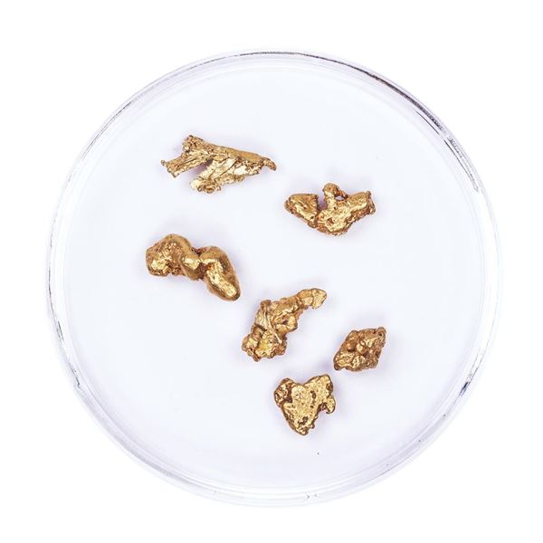 Lot of Gold Nuggets 3.16 grams Total Weight