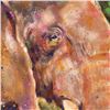 Image 2 : Stephen Fishwick "Elephant" Limited Edition Giclee On Canvas