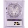 Image 2 : 2006-W $1 Proof American Silver Eagle Coin PCGS PR69DCAM