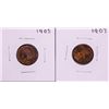 Image 1 : Lot of 1903 & 1907 Indian Head Cent Coins