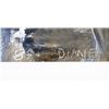 Image 3 : Oil on Canvas Signed Diane