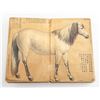 Image 3 : Chinese 18 Horses Litho Booklet Signed