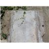 Image 2 : Steel Plate w/ Notched Edges 169"x40"W