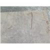 Image 3 : Steel Road Plate 145"x73"W