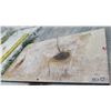Image 1 : Steel Road Plate 120"x72"W