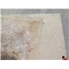 Image 3 : Steel Road Plate 120"x72"W