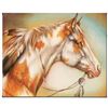 Image 1 : "Dreamer Horse" Limited Edition Giclee on Canvas by Martin Katon, Numbered and Hand Signed. This pie