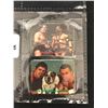 Image 2 : 1980s BORDEN 12 STICKER CARD WWF SET (RARE)