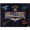 Image 1 : WWF HALL OF FAME MULTI SIGNED 16 X 20 (JSA COA)