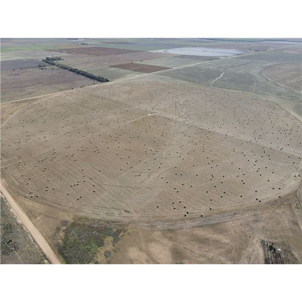 160 +/- Acres of Irrigated Crop land
