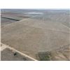 Image 2 : 160 +/- Acres of Irrigated Crop land