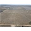 Image 3 : 160 +/- Acres of Irrigated Crop land
