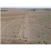 Image 4 : 160 +/- Acres of Irrigated Crop land