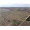Image 1 : 160 +/- Acres of Irrigated Crop Land