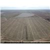 Image 3 : 160 +/- Acres of Irrigated Crop Land