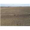 Image 4 : 160 +/- Acres of Irrigated Crop Land
