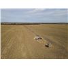 Image 5 : 160 +/- Acres of Irrigated Crop Land