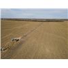 Image 6 : 160 +/- Acres of Irrigated Crop Land