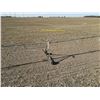 Image 7 : 160 +/- Acres of Irrigated Crop Land