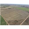 Image 2 : 160 +/- Acres of Irrigated Crop Land