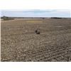 Image 3 : 160 +/- Acres of Irrigated Crop Land