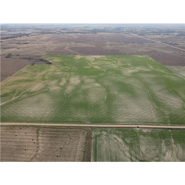 160 +/- Acres of Dryland Crop Land