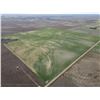 Image 2 : 160 +/- Acres of Dryland Crop Land