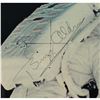 Image 3 : Neil Armstrong and Buzz Aldrin Signature Display
