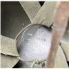 Image 7 : M51 French Foreign Legion Helmet