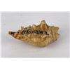 Image 5 : WW2 Souvenir Homefront Painted Shell