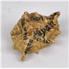 Image 8 : WW2 Souvenir Homefront Painted Shell