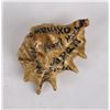 Image 9 : WW2 Souvenir Homefront Painted Shell