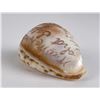 Image 4 : President Mckinley Death Memorial Carved Shell