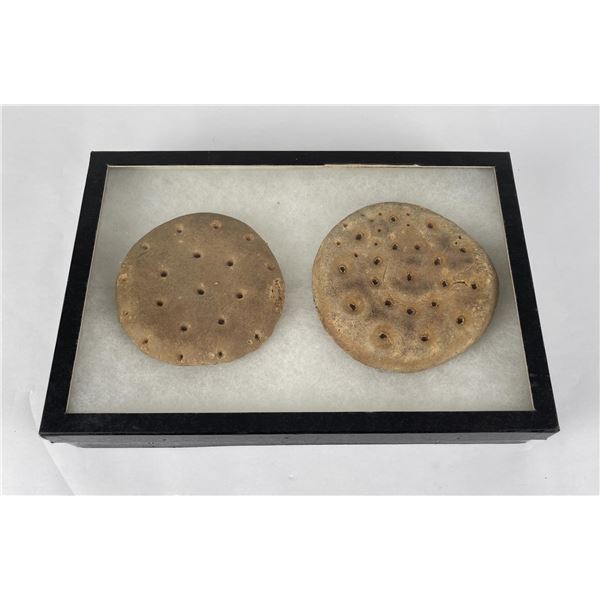 1880s Naval Hard Tack Biscuits