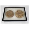 Image 1 : 1880s Naval Hard Tack Biscuits